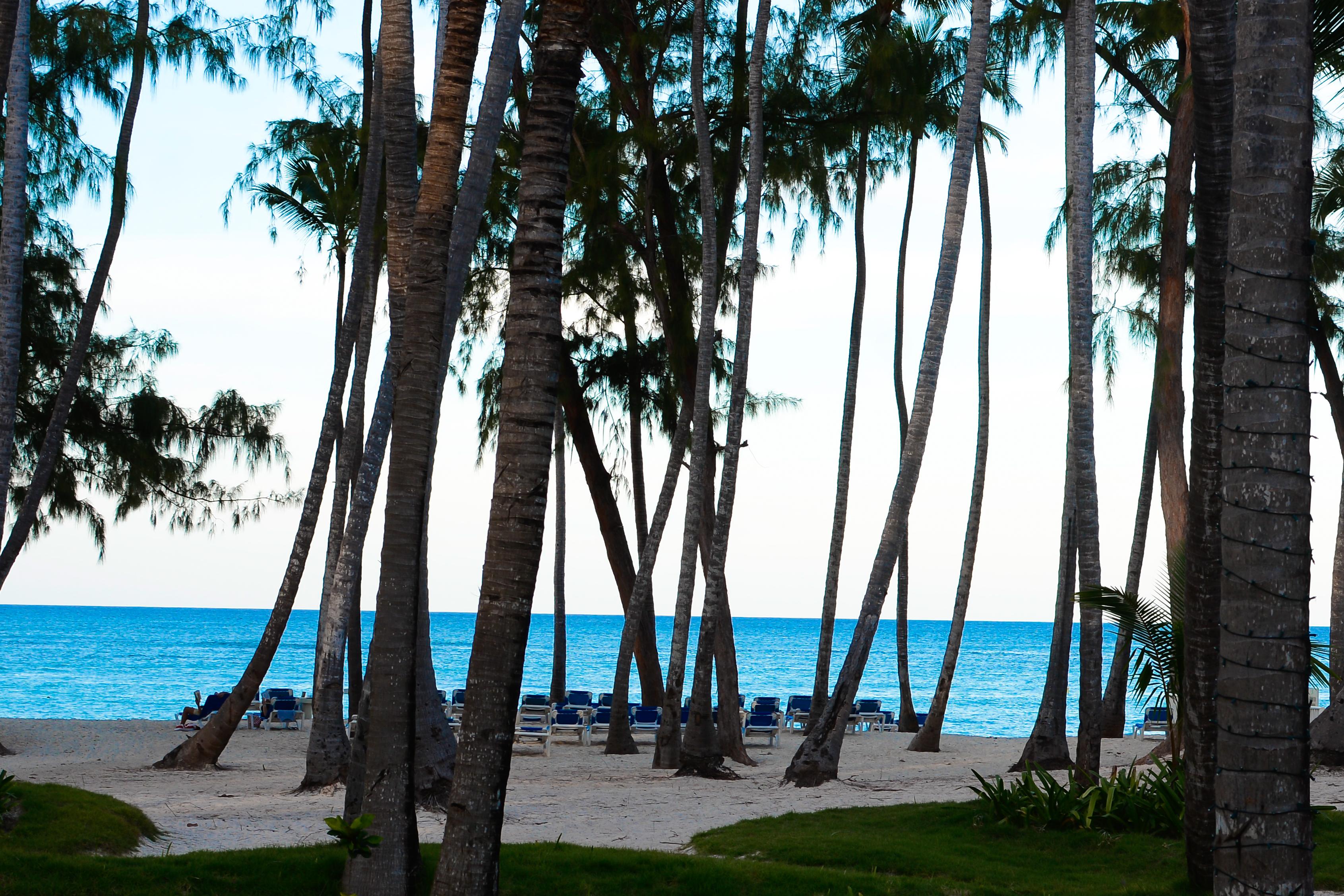 Vista Sol Punta Cana Exteriér fotografie